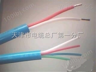 ZR-DJYVRP-1*2*1.5mm2 2*2*1.0mm2电缆