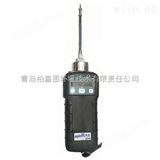 陕西VOC检测仪PGM-7240