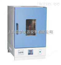 DHG-9202-3（A）电热恒温干燥箱